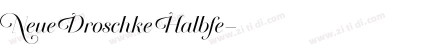 Neue Droschke Halbfe字体转换